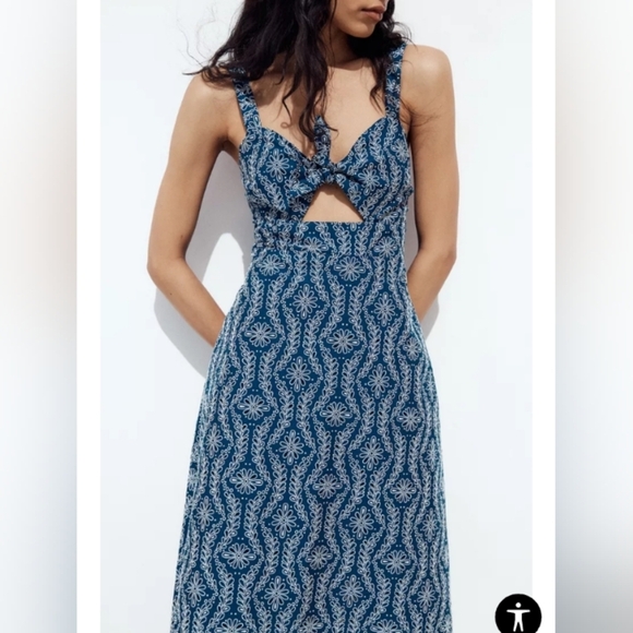Zara Rubberized Openwork Embroidery Midi Dress - Picture 5 of 9
